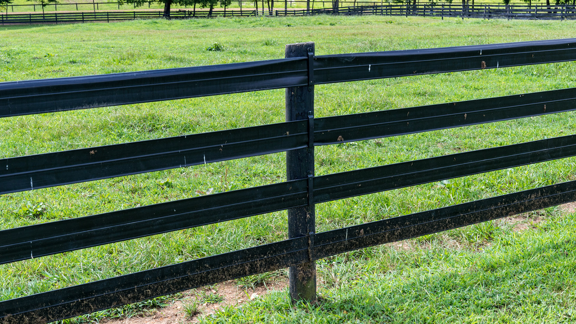 Black vinyl fencing with tensioners keeps this fence tight, though horses can stretch the bands and get parts of themselves trapped requiring 2 people to clear them. She said it had happened to 5 horses in the past month.
