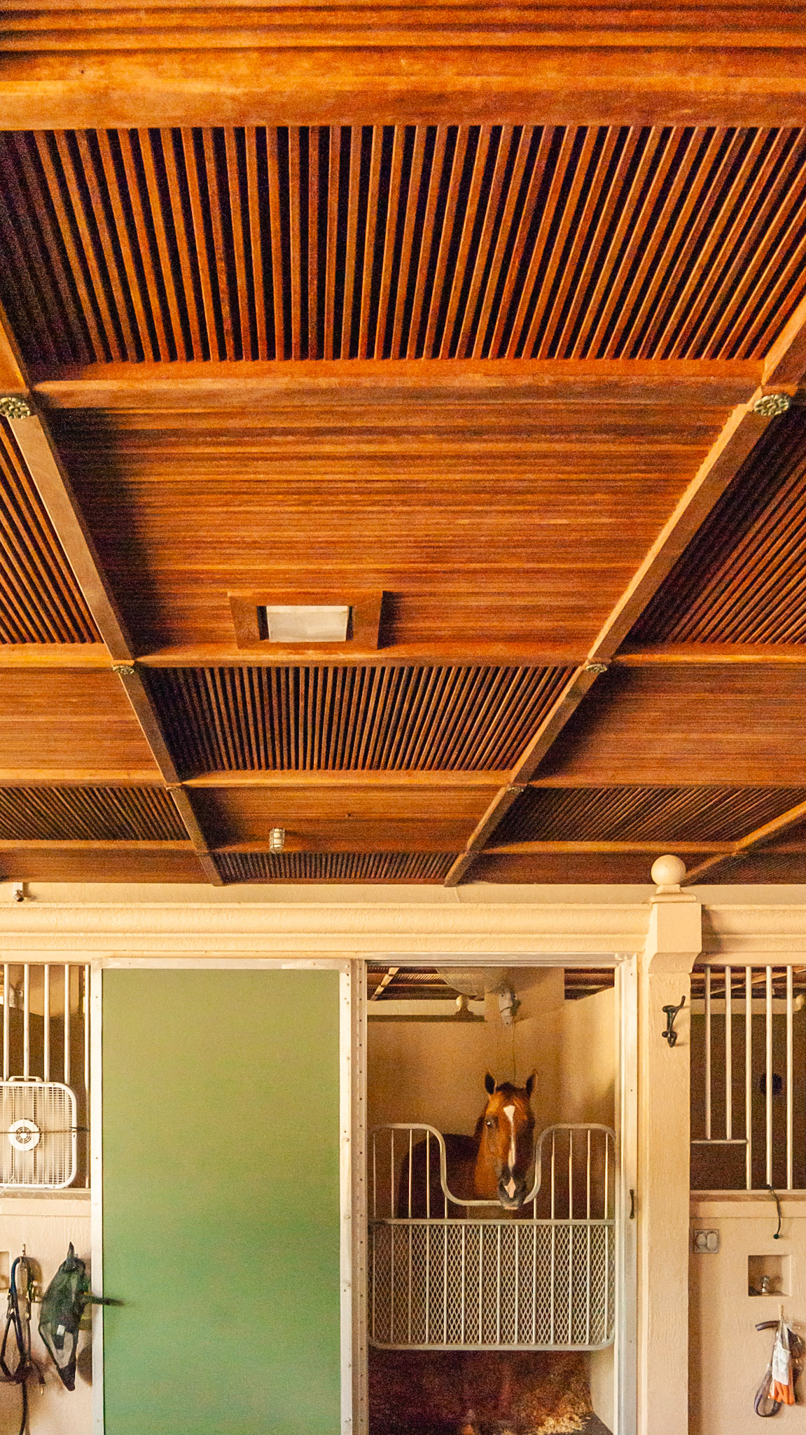 Hand made custom designed ceiling in a barn.