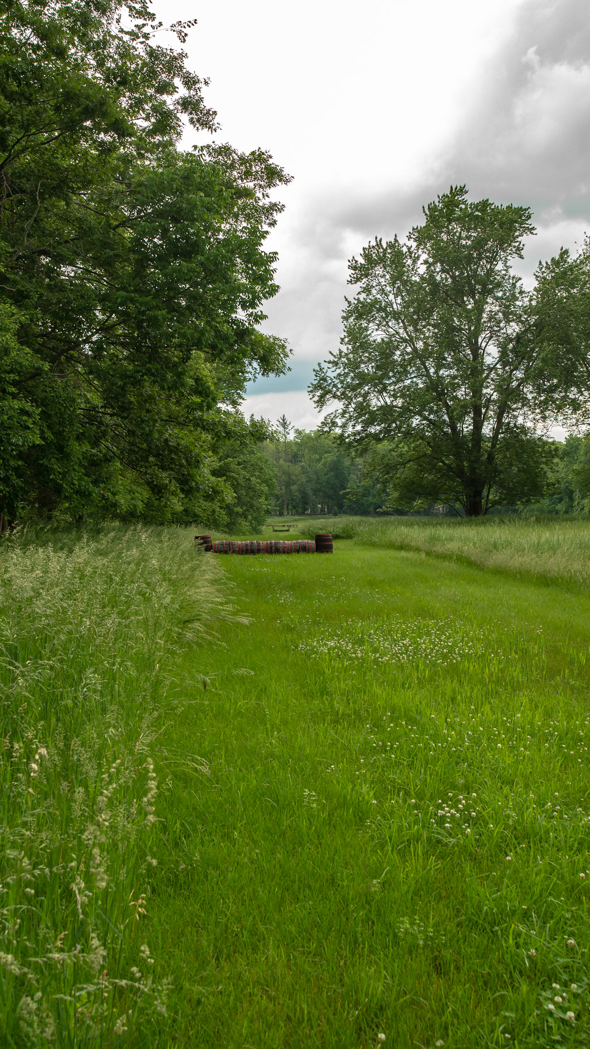 Cross country jumps in a field alongside a road I was traveling on.