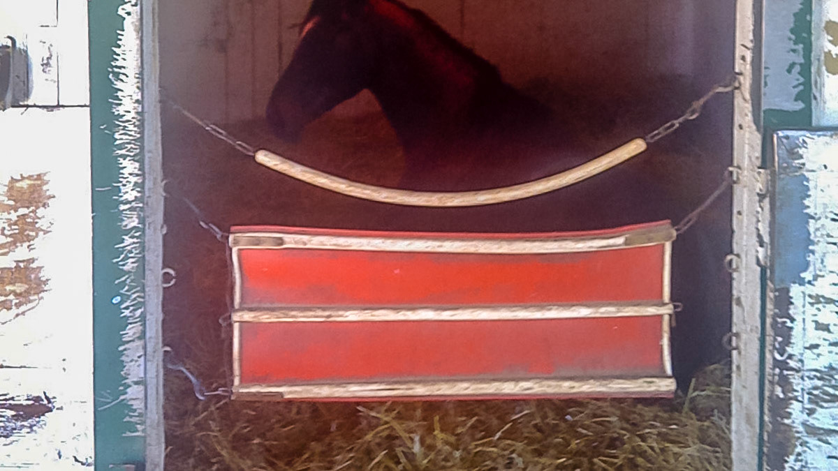 Typical stall guard and chain used a lot at race tracks.