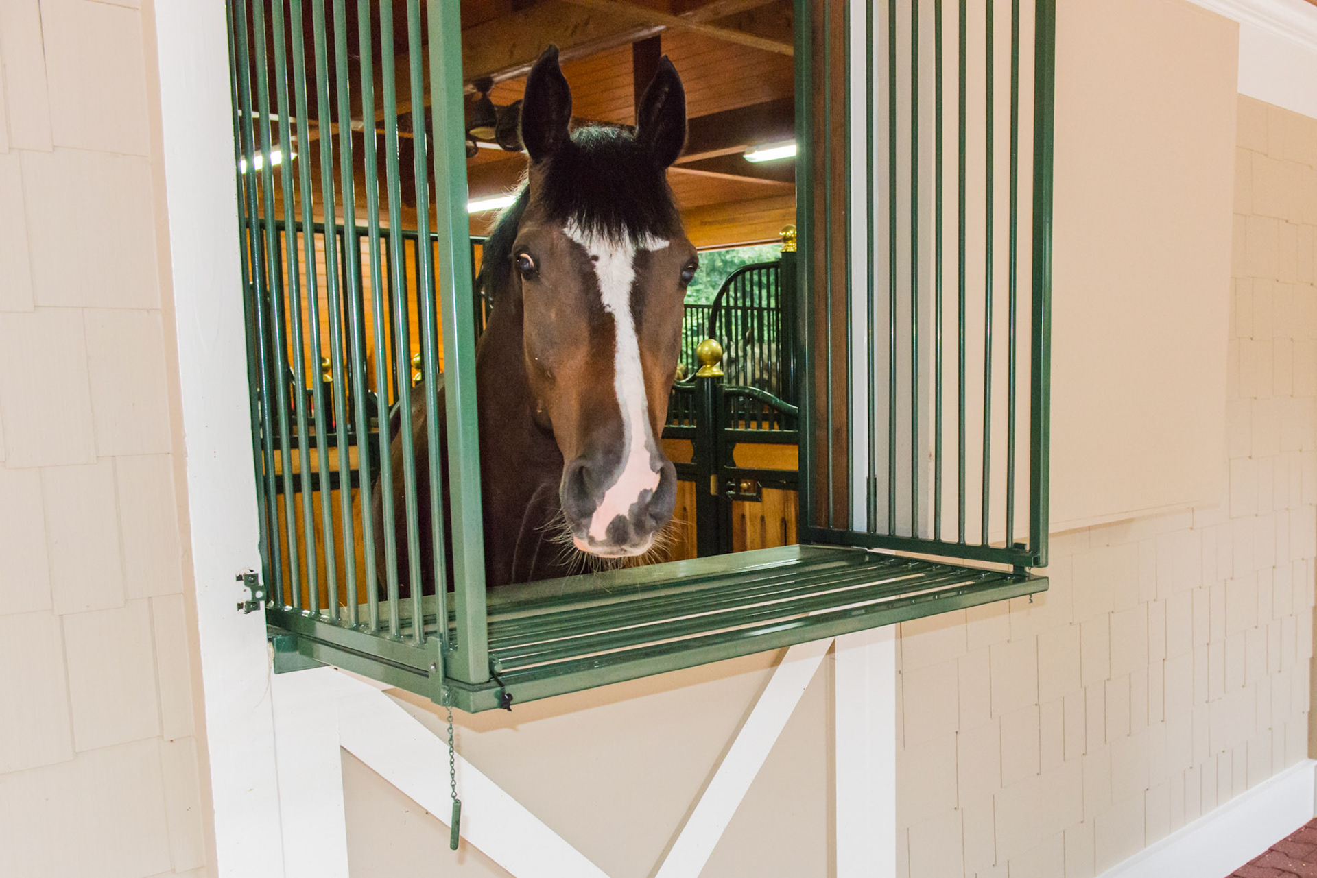 An ingenious custom made device to prevent the horse from chewing the outside of the barn while allowing his head to get outside. When the doors close for weather, part of the device lays down outside and the rest folds inside preventing the horse from chewing the closed stall door.
