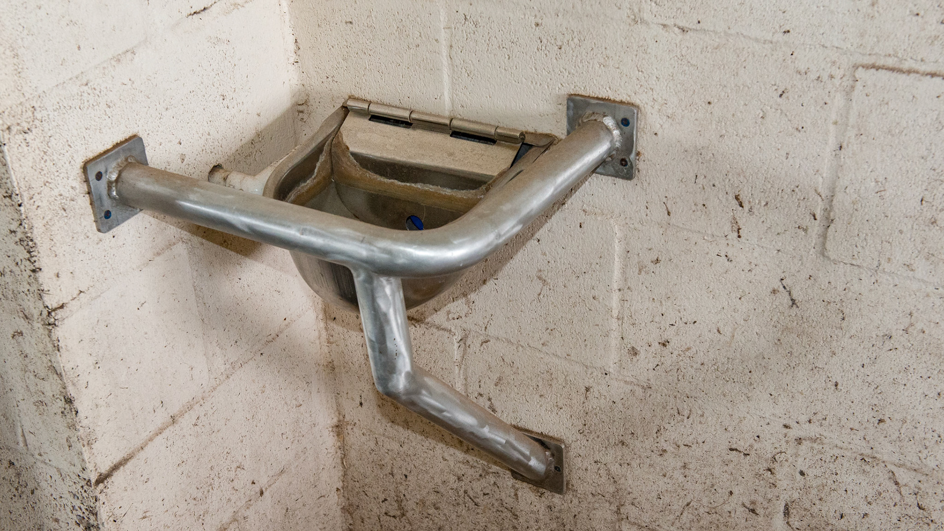 A custom made cage prevents damage to the automatic water bowl.