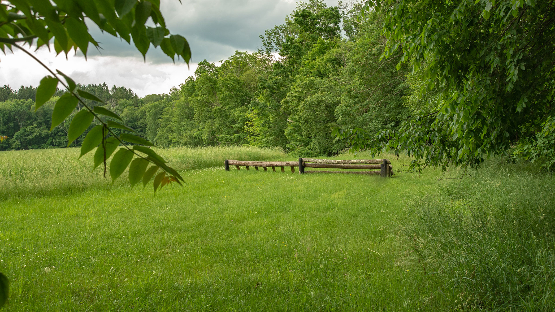 Cross country jumps in a field alongside a road I was traveling on.