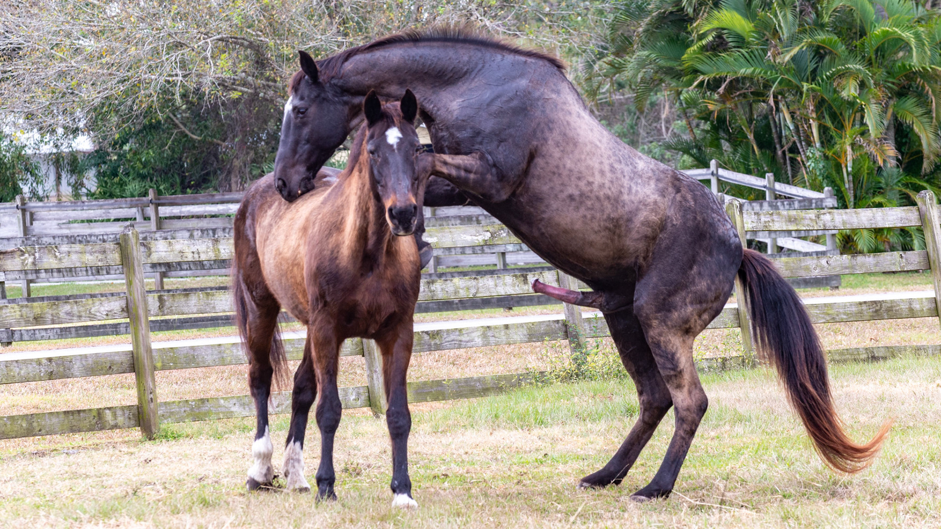 2/25 - Another attempt to mount on the side.