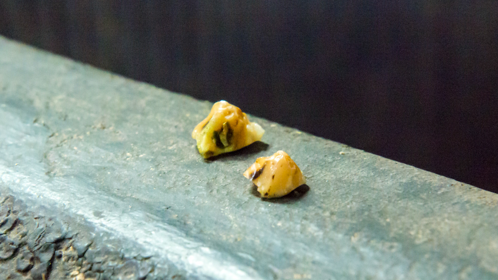 Small hooks (311 and 411) removed from a horse that objected to flexion at the poll.  #411 is on the left and was taller - one side taller is common.