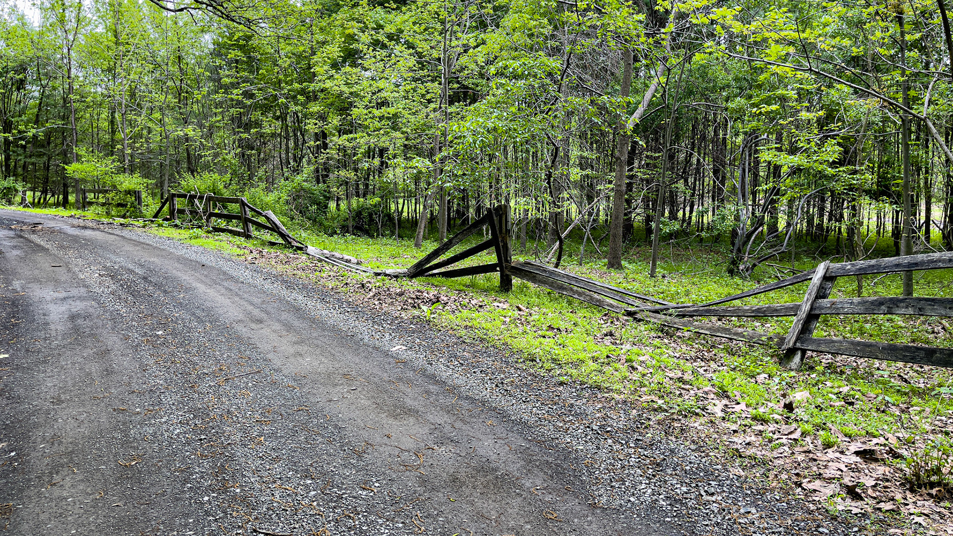 Entropy of a fence line coming out of winter in VA.