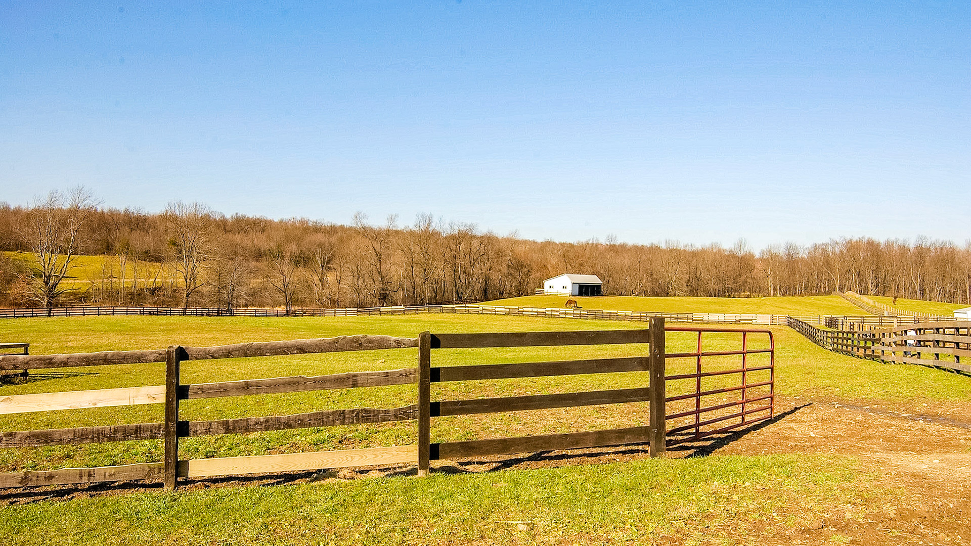 Autumn pasture - November in New York.