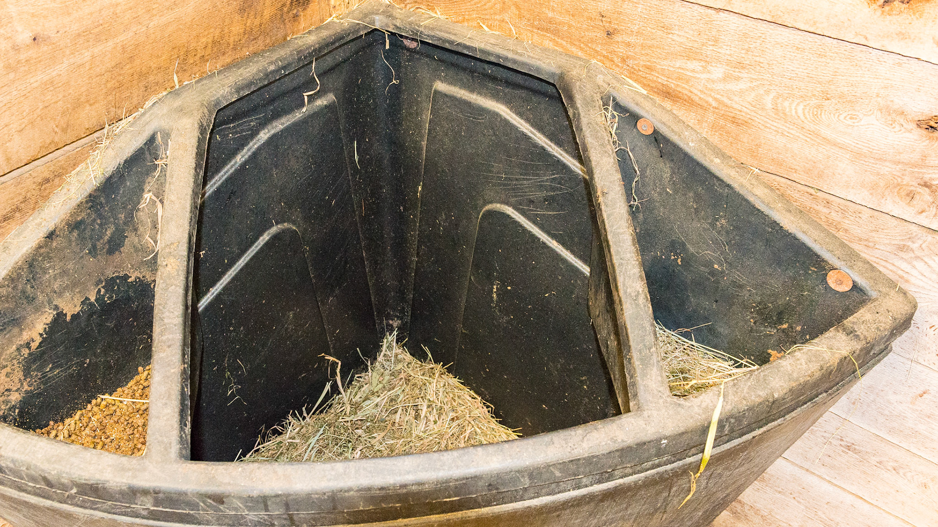 This plastic formed hay and feed tub keeps the hay contained and not scattered over the floor. The water is hung nearby. While this has an appeal of efficiency, I see three problems. 1) the horse’s head needs to be deep inside the tub to finish eating. This may not work with a nervous or claustrophobic horse. 2) It limits the ventilation and forces the horse to eat with his nostrils inhaling the dust so many bales have.  3) They are impossible to clean well.