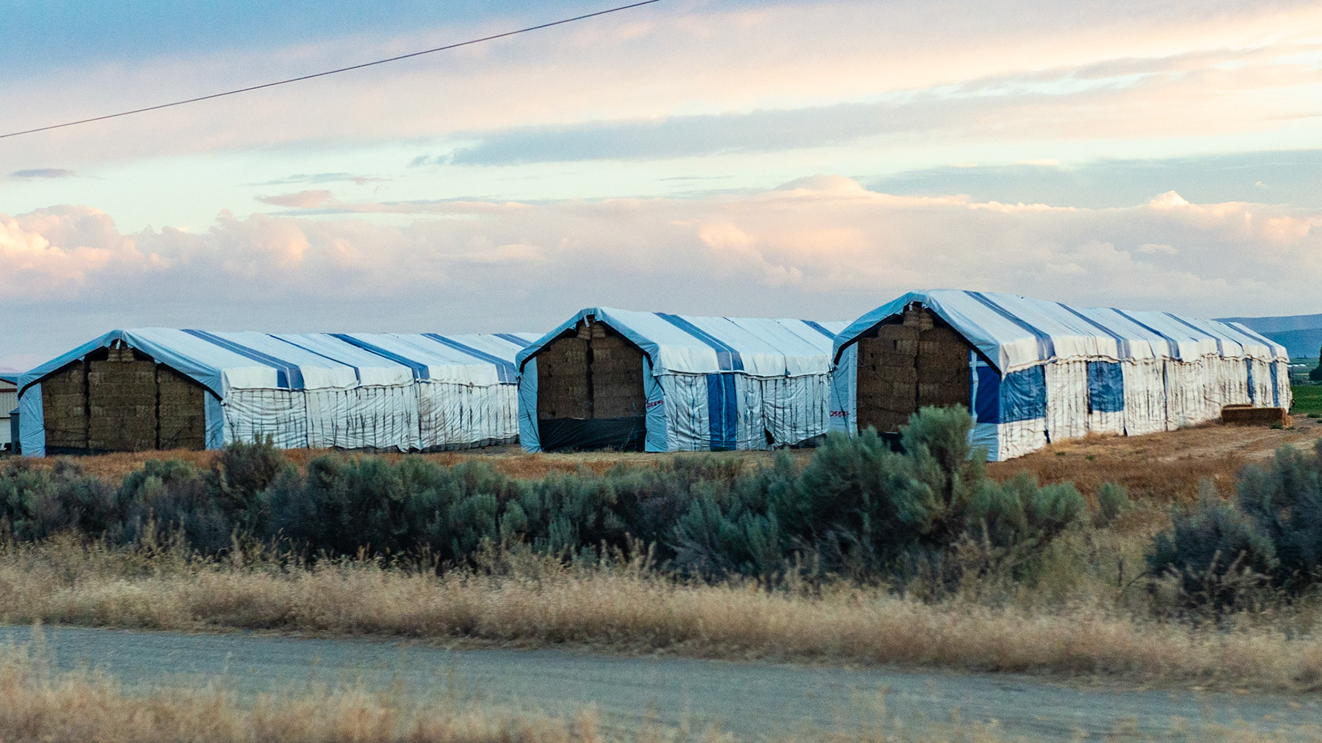 A common sight in eastern WA where hay and straw are baled and kept outside covered in tarps except for the ends.  About 15 to 20 bales fit on a semi trailer so these are very big storage areas of very big bales.