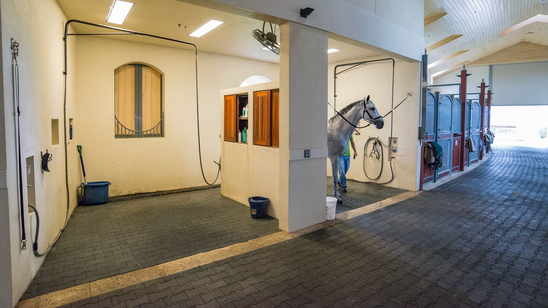 Wash stalls are made with safety in mind.