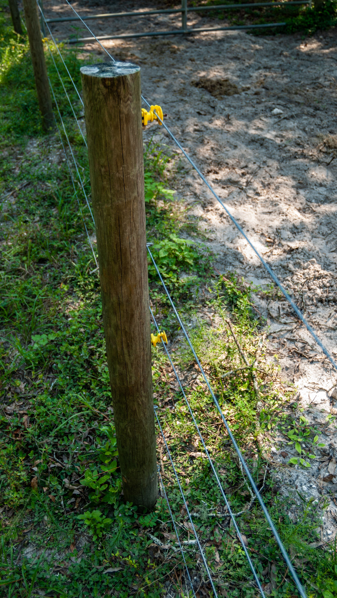 High tension and thick, the top and middle wires also has an electric current.  this thick wire can also cut the limb of a horse almost in half. I have seen it do this.
