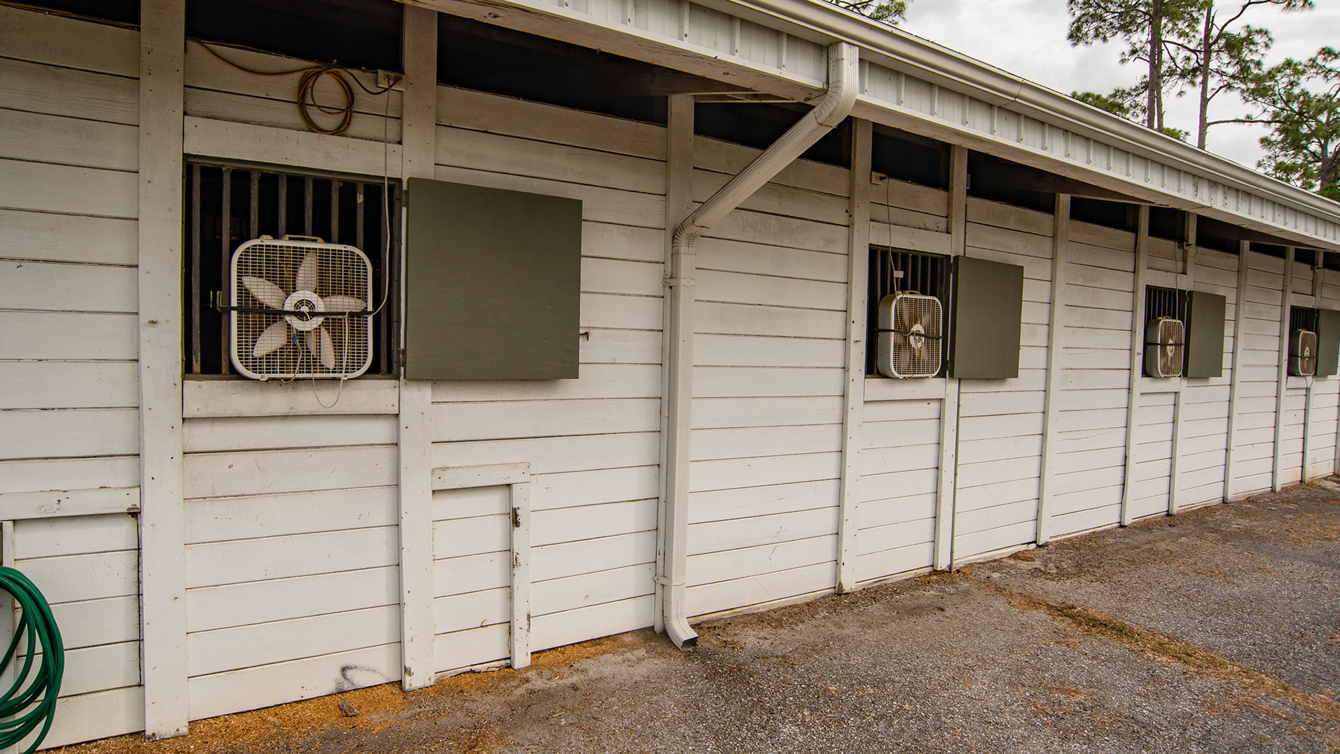Solid barn wall, top vent, fans in every window.