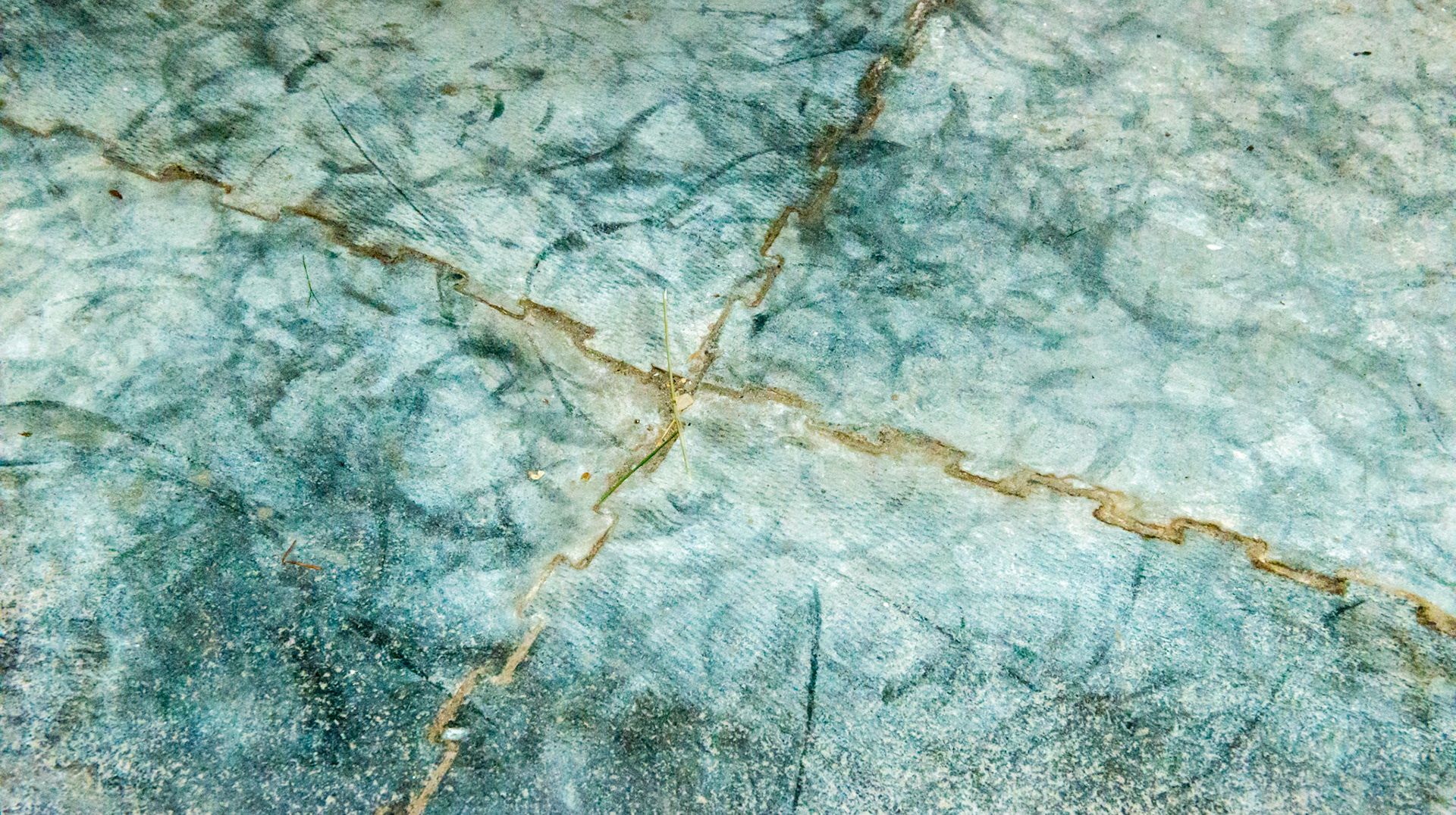 Rubber mats cover the stall floor and are interlocking