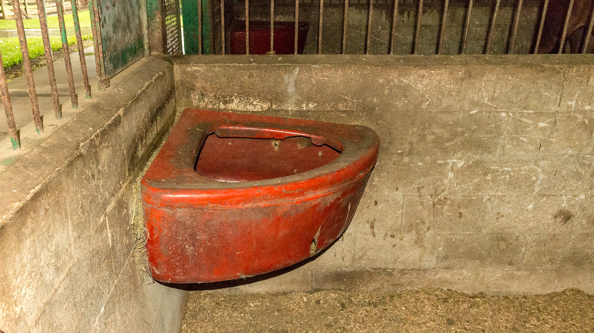 A very large feed tub with a spill collar built in.