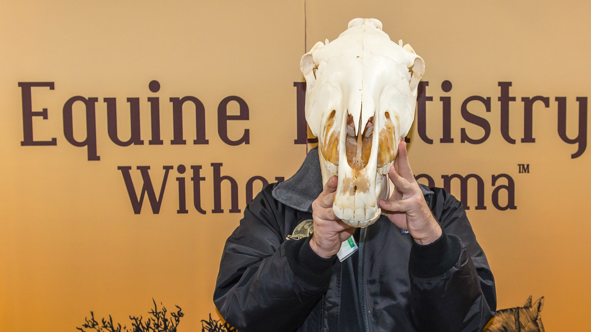 Equine Affaire 2014