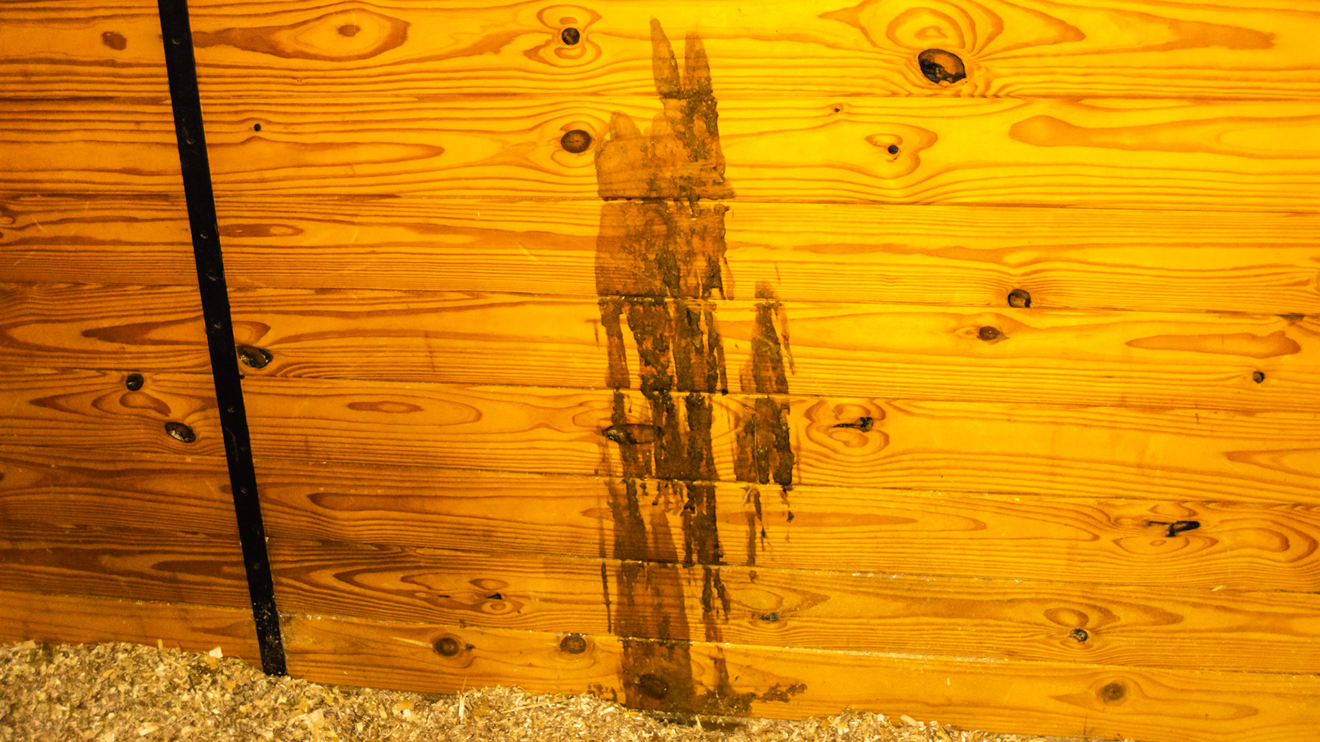 Diarrhea stains this stall wall.