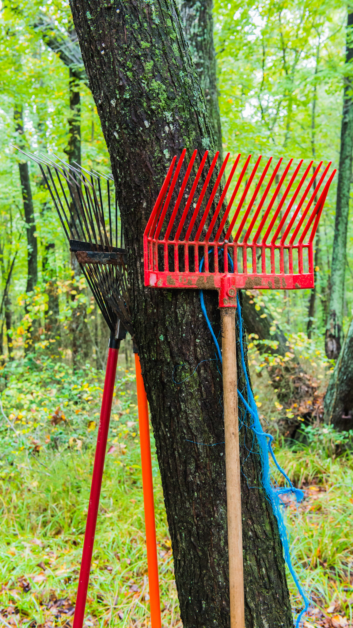 A tree and a nail is enough for equipment storage.