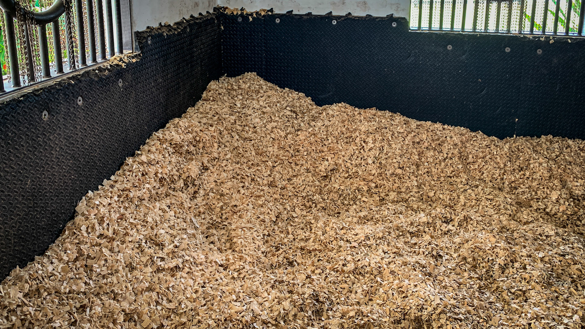 These are thick kick mats securely screwed into the walls.  The scalloped edge is from the tabbed configuration which has become inviting for horses to chew.