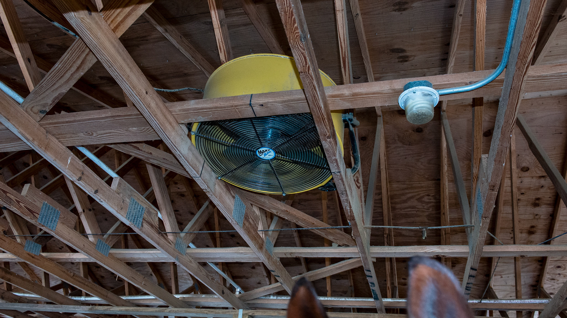 This is a floor fan that has been placed in the rafters of this Florida stall. It offers a large volume of airflow directly down on the horse along with fans mounted on the front wall.