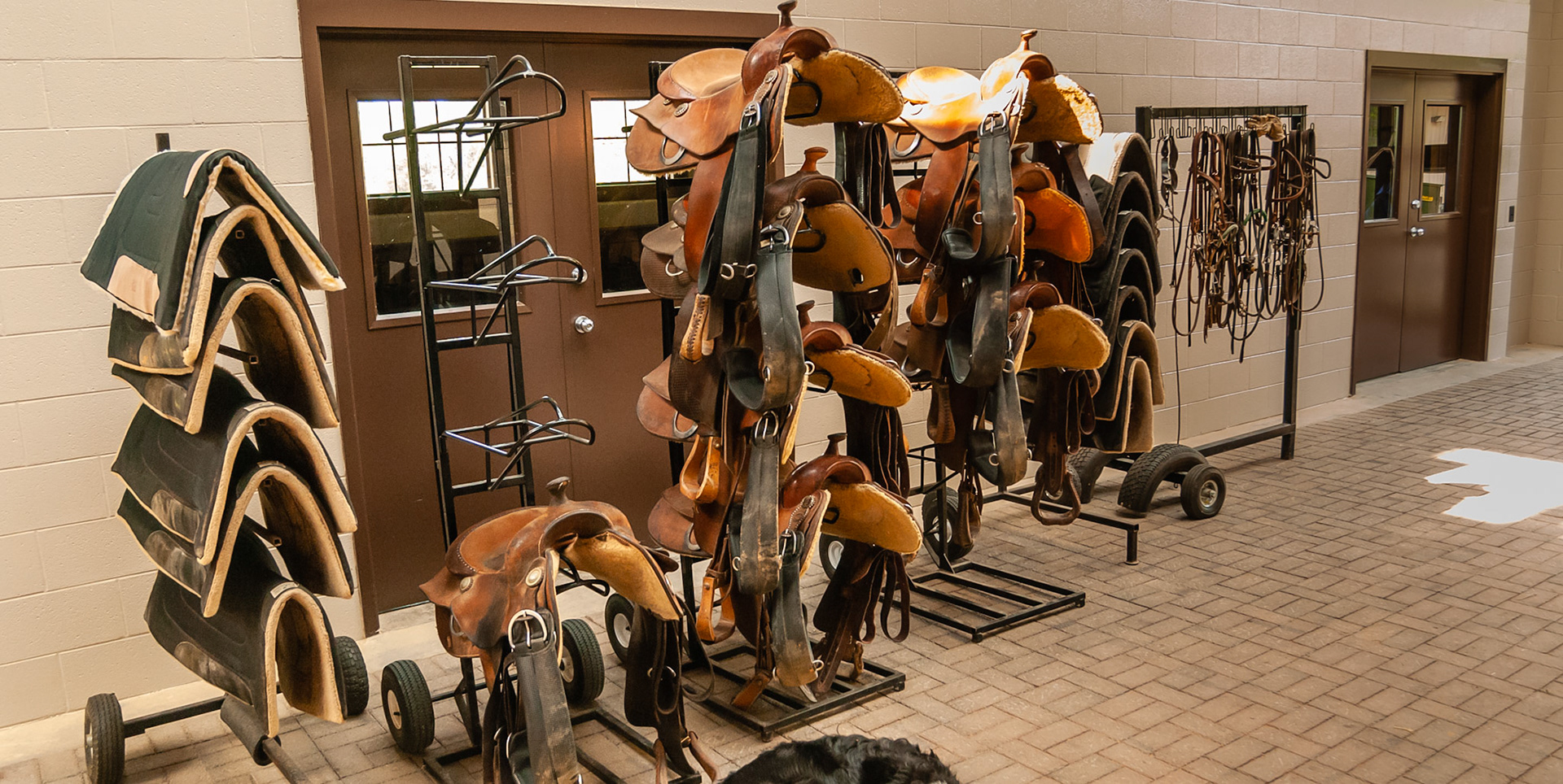A western show barn with all tack on wheels rather in a room.