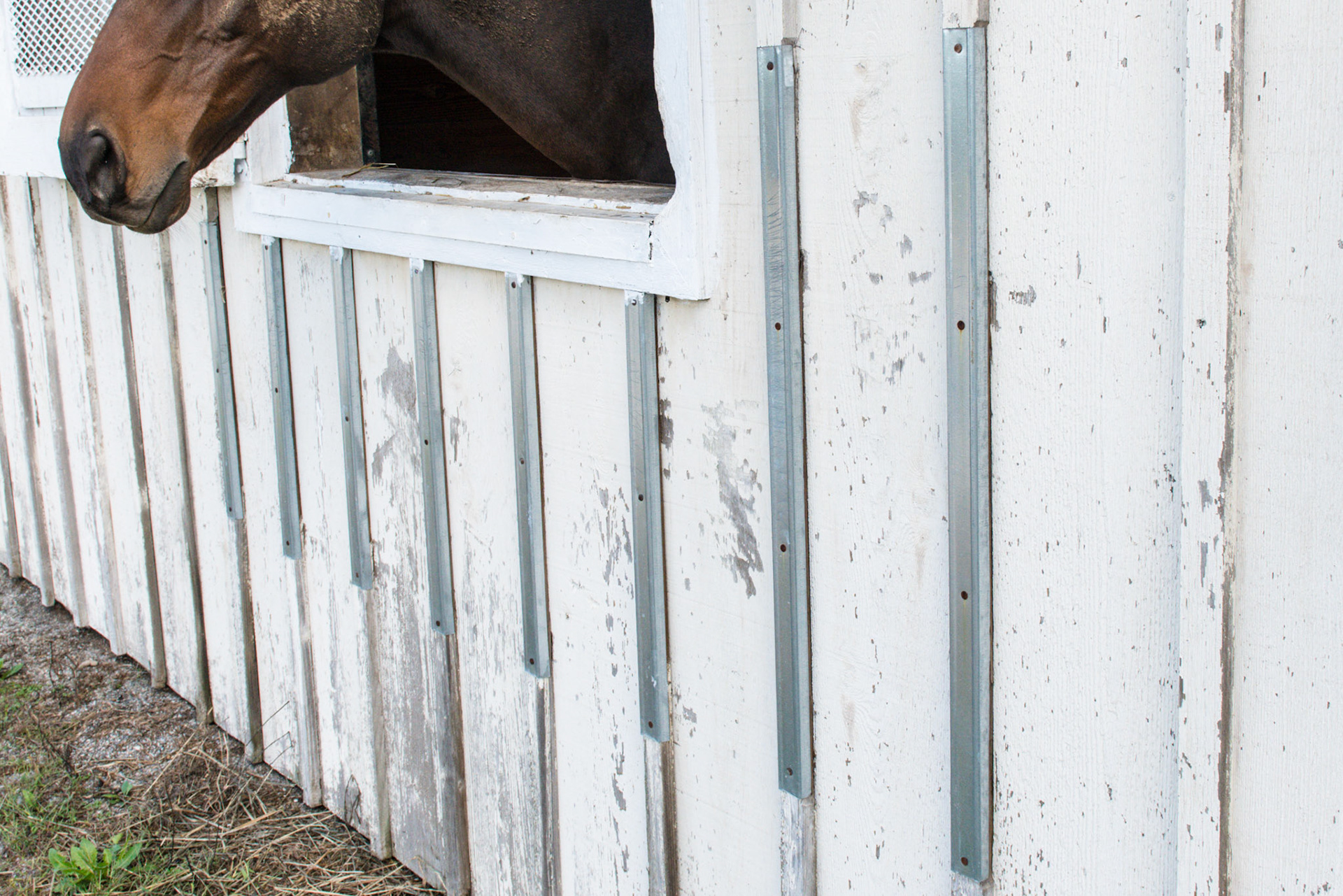 Battons with form fitting sheet metal channels nailed on. These have effectively stopped the chewing not only on the battons, but on the window frame as well.