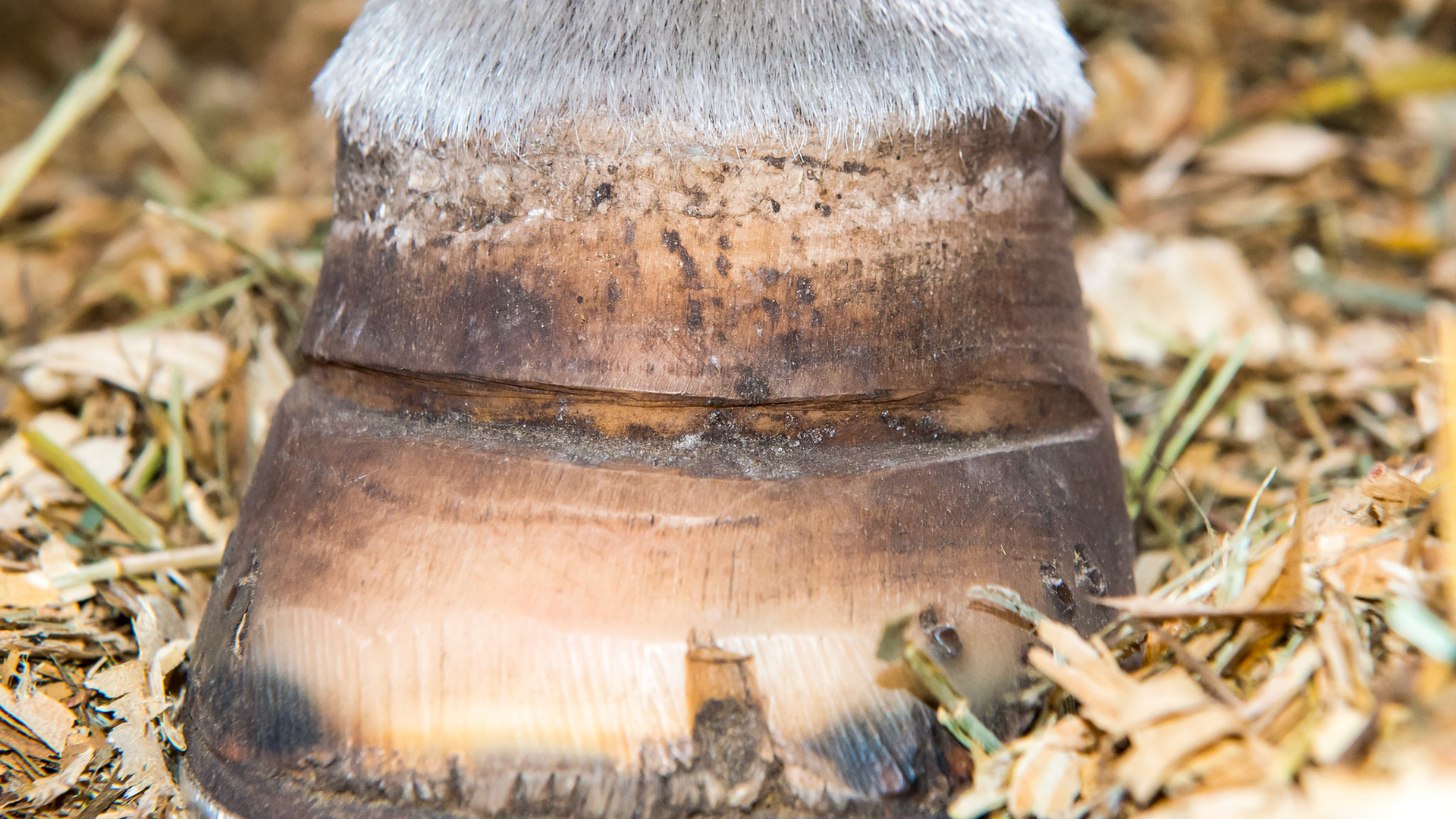 Another look at the LF