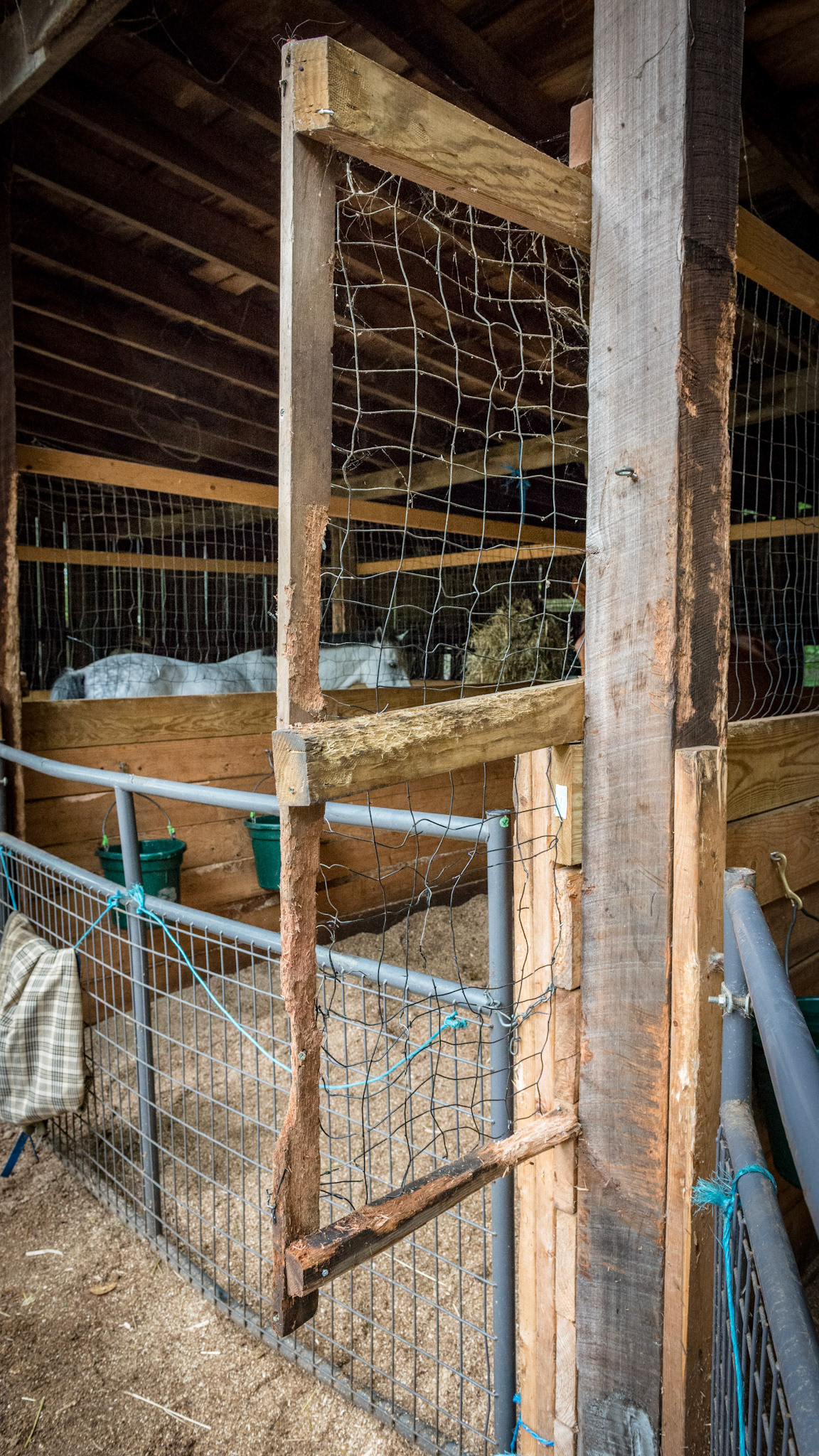 The stall wall is extended outside of the stall to prevent the horses from attacking each other over the gate.  This is made of thin wire which is being destroyed by the horse's attacks.