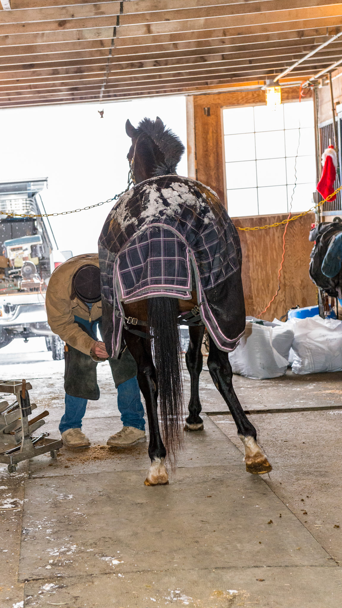 A farrier working on a winter's day.