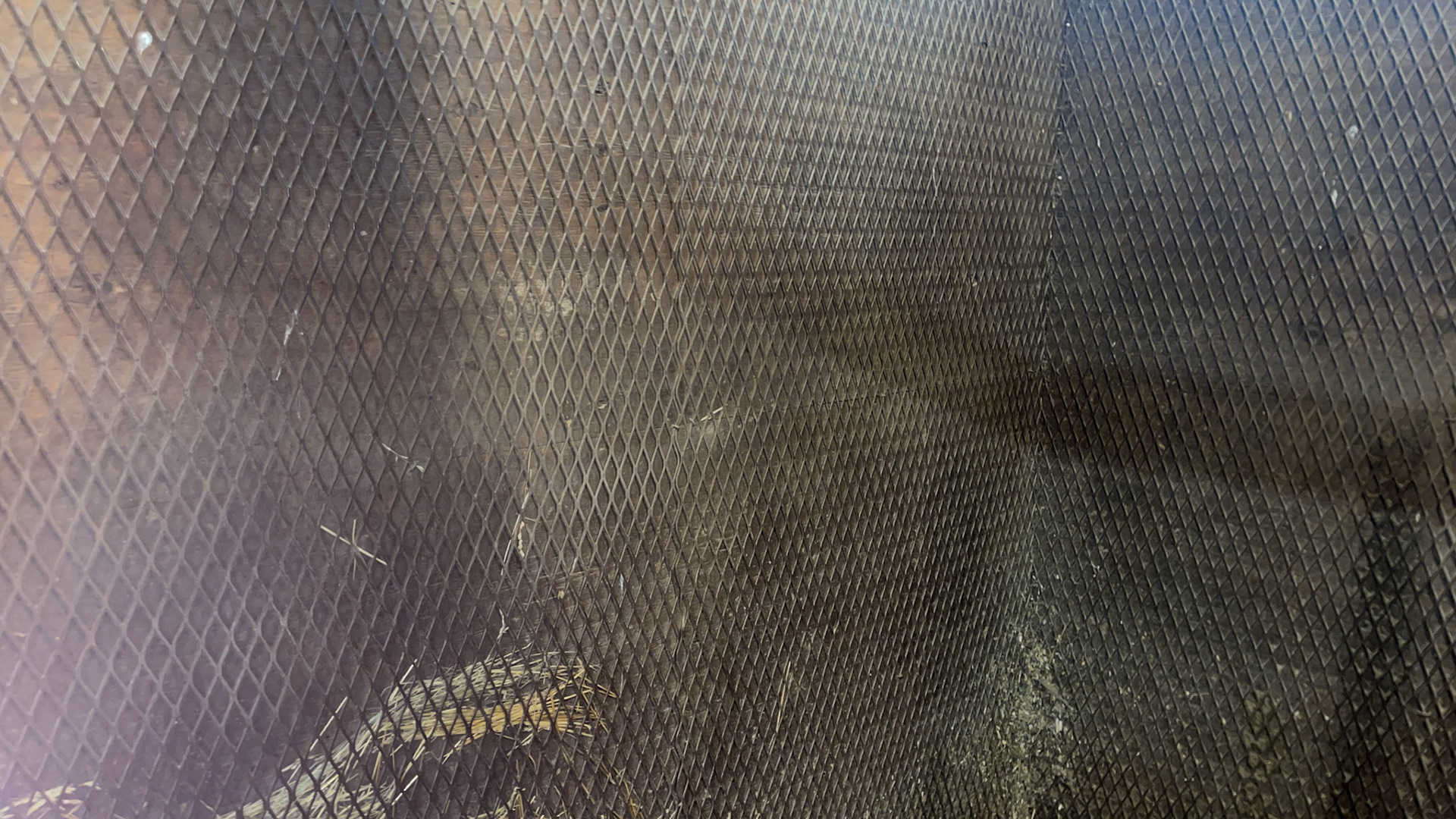 Protective screen on the walls of a stall.