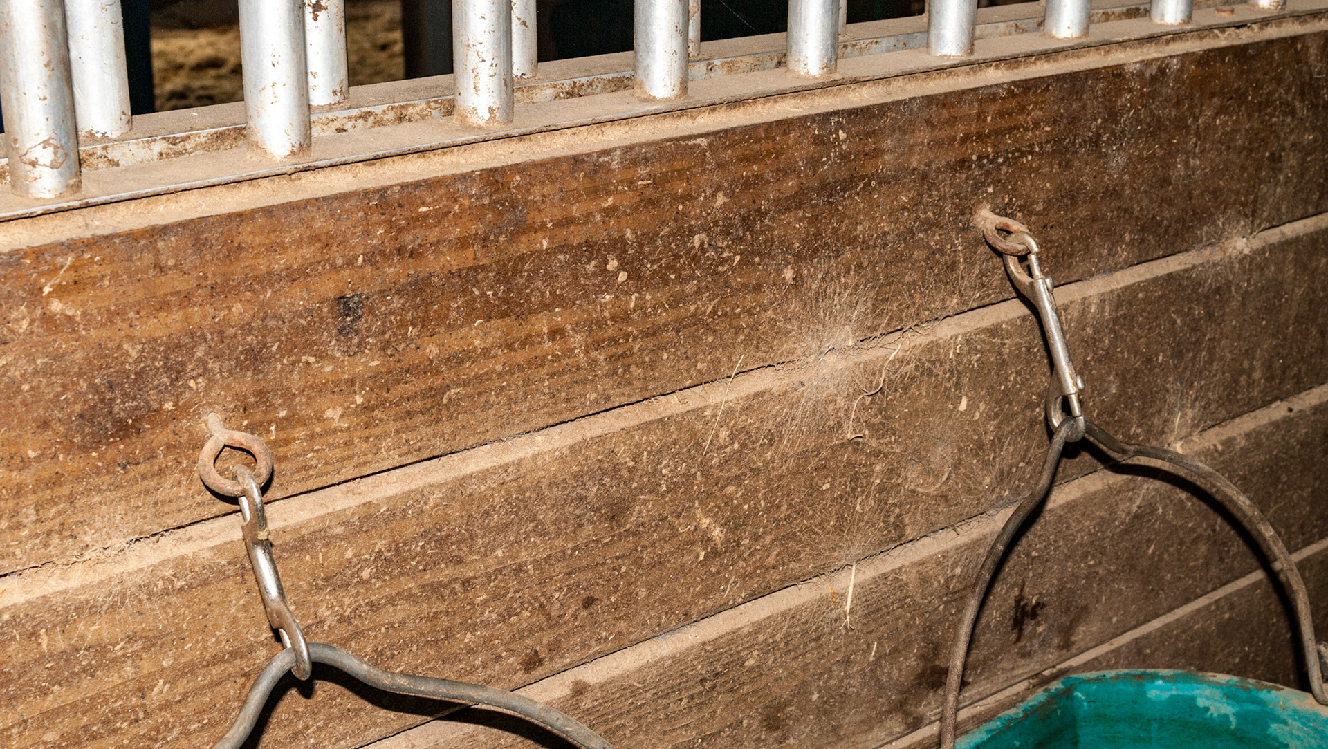 Thumb snaps - the one on the left is correct with the latches facing towards the wall.  The one on the right is wrong where the latch can catch the eyelid.