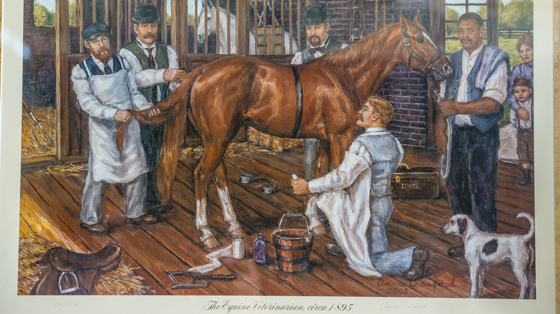 There is a connection of a halter and lead, however there are 2 men in very unsafe positions behind the horse.  What is the most interesting thing about this picture depicting a vewterinarian working on the horse in 1895 is that everyone is paying attention to the horse.  Compare this to the picture of a veterinary scene depicting 2005 in another photo.