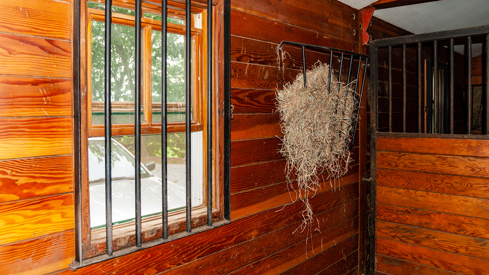 Custom made glass protector.