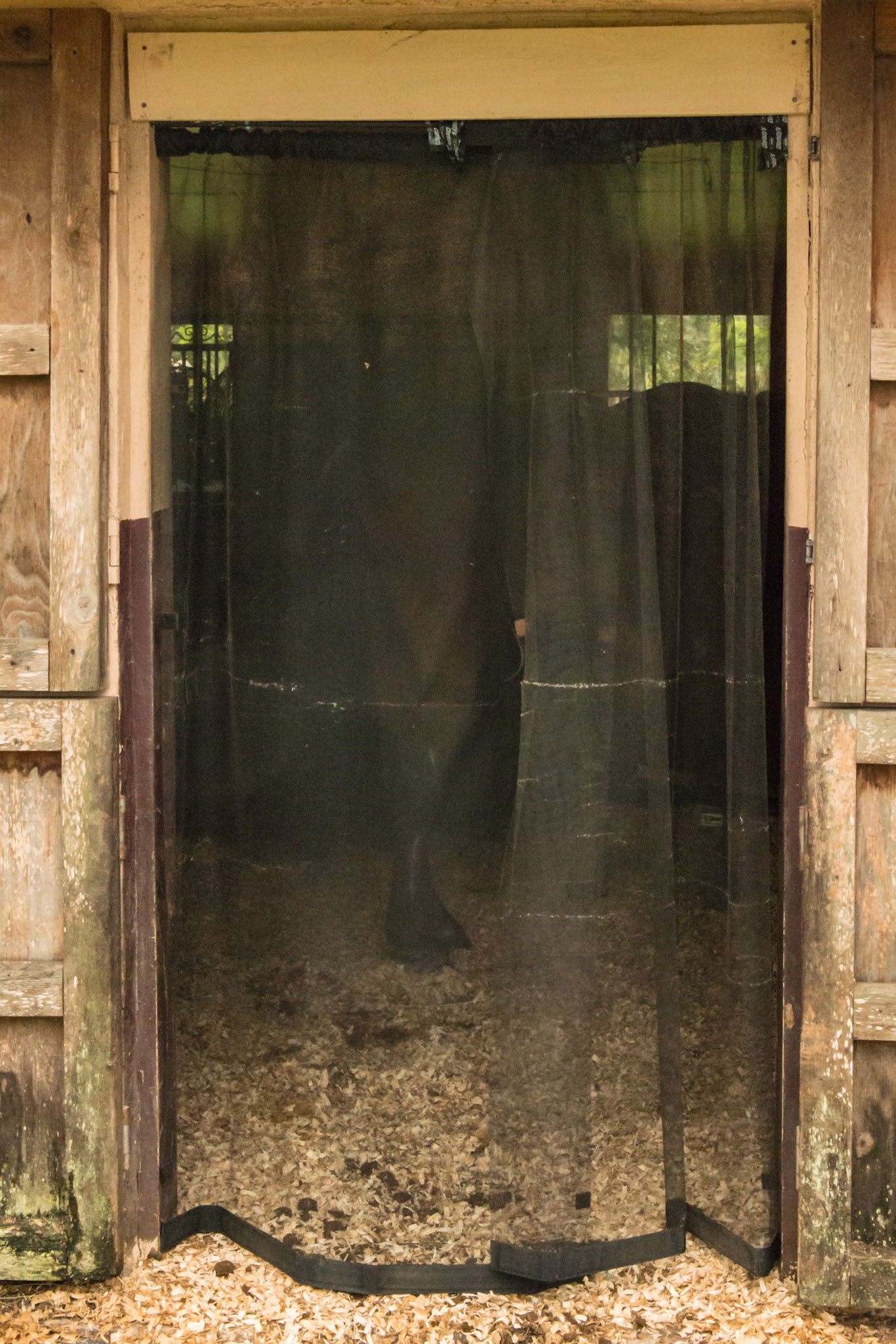5 of 5 - Screen covers stall door access to paddock. The horse easily walks through the parted curtain.
