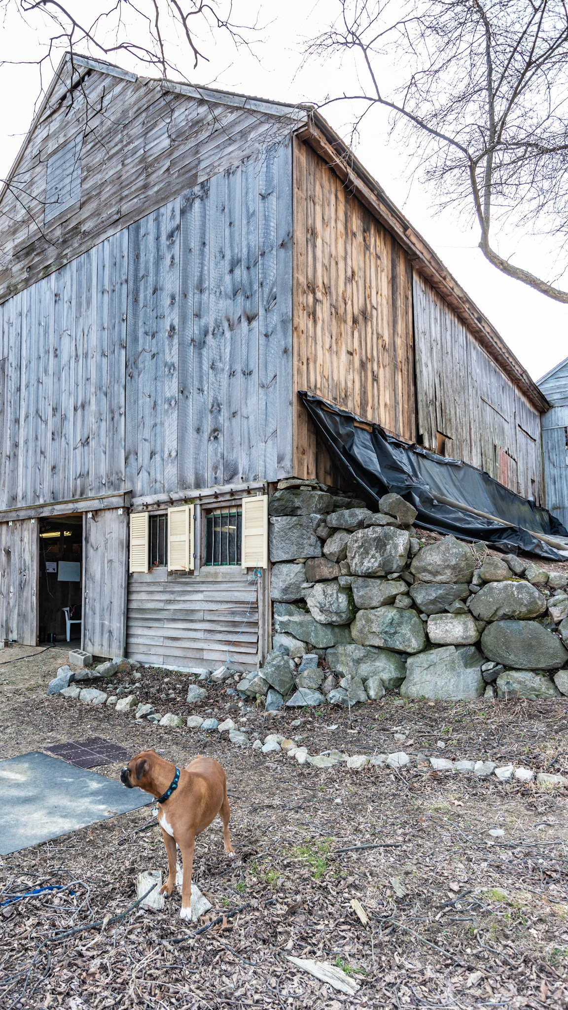 North Reading, MA barn
