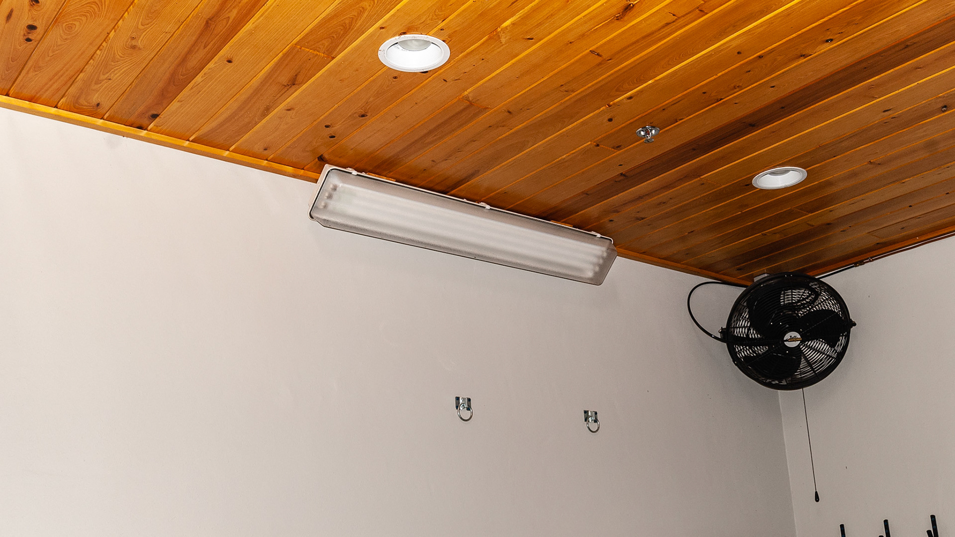 Angled fluorescent plus pot lights in a grooming stall