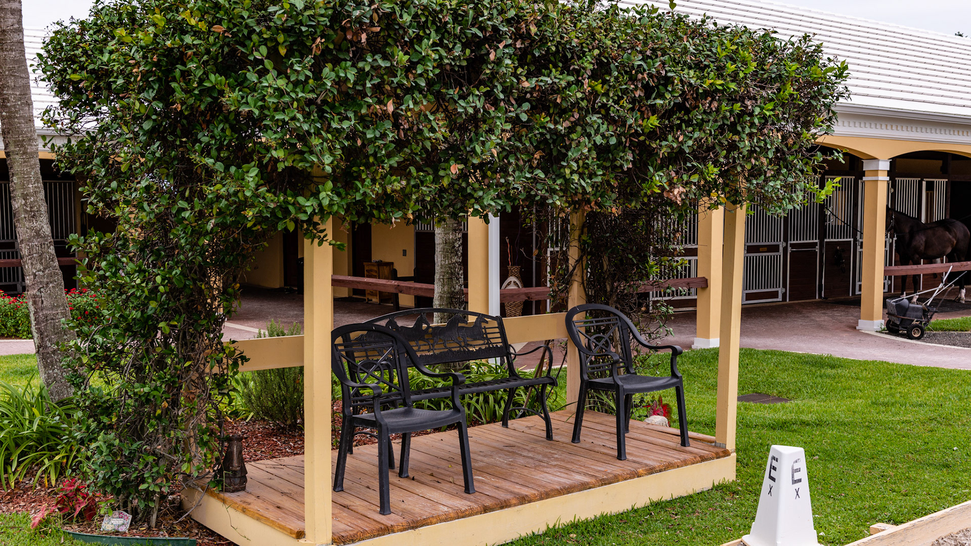 Dressage ring observation platform is made with a trellis roof that is covered with vegetation in Wellington, FL
