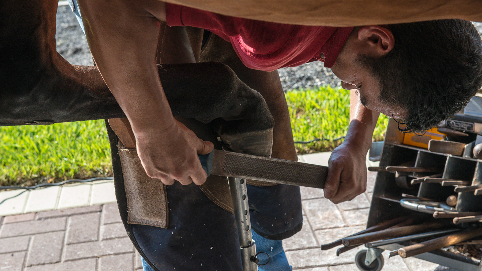 A farrier working safely with a horse cross tied.