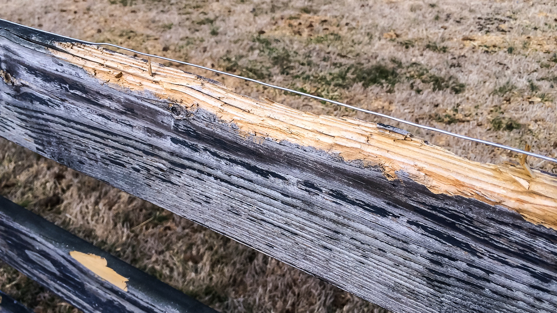 This top board has chewing damage on it and the owner has placed an electric wire along the top to prevent further damage.