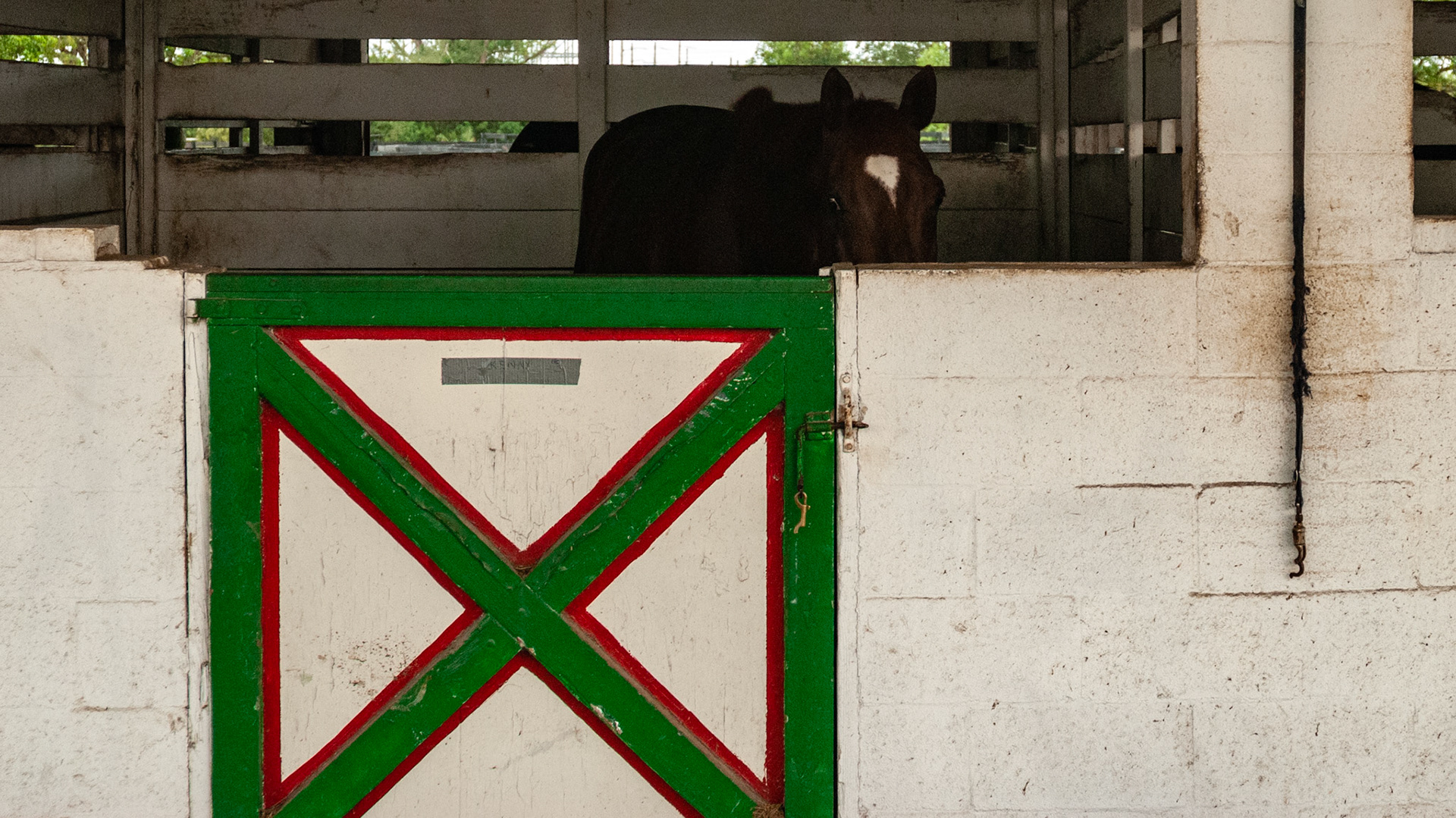 Typical stall door and latch with a thumb snap ready for placement at night into the hole in the latch key on the far side of the latch hole preventing the horse from opening the latch.