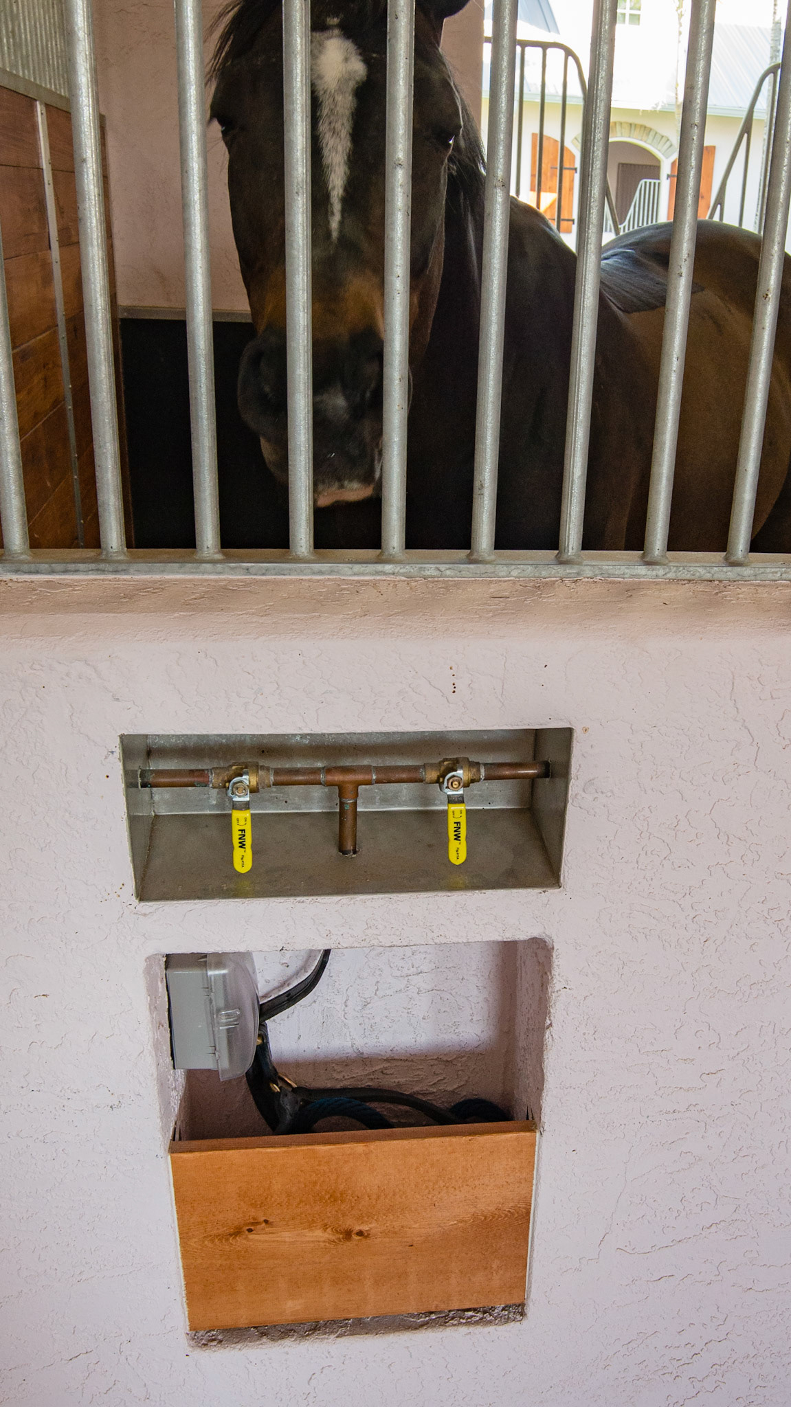 External water valves plus a recessed box for halter and electricity.