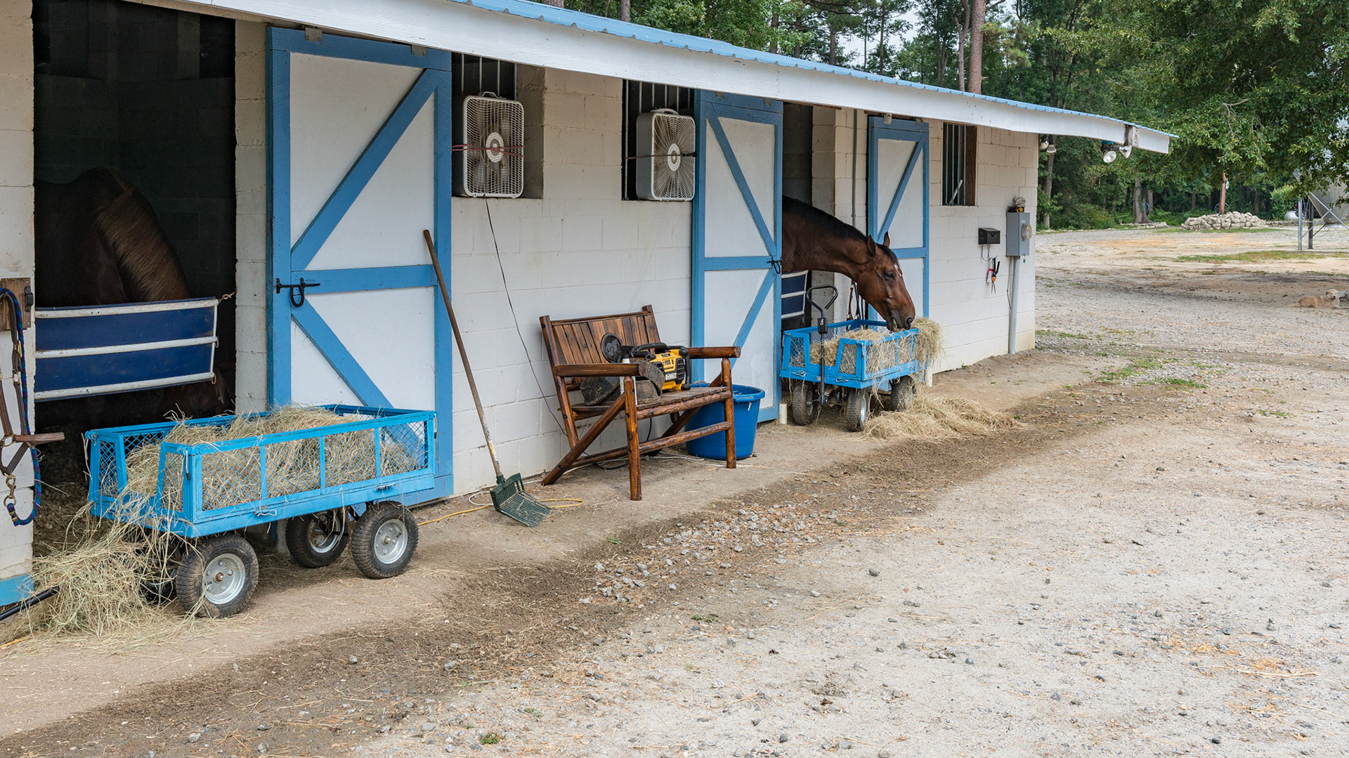 An easy way to deliver hay to horses during the day. At night the remainder is placed in the stall and the wagons removed. The owner says these horses act more "secure" with their heads out. These horses are on vet prescribed stall rest.