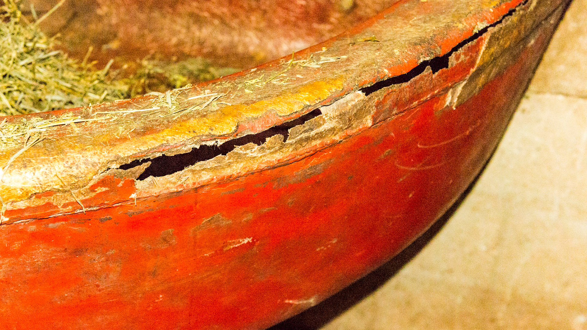 A large feed tub that is falling apart leaving a sharp and exposed edge.