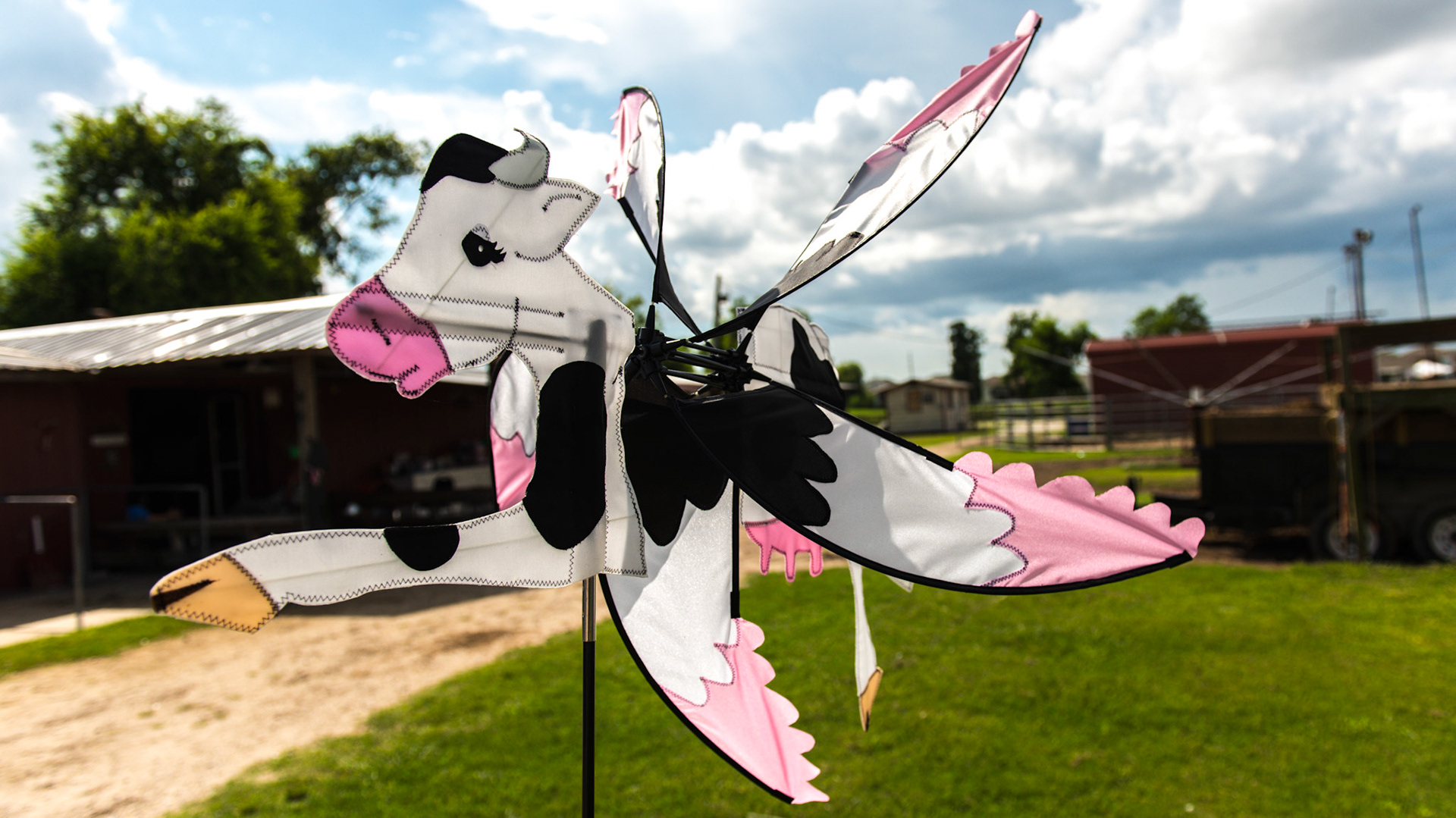 "Flying cow" with wings bent and filled with wind.