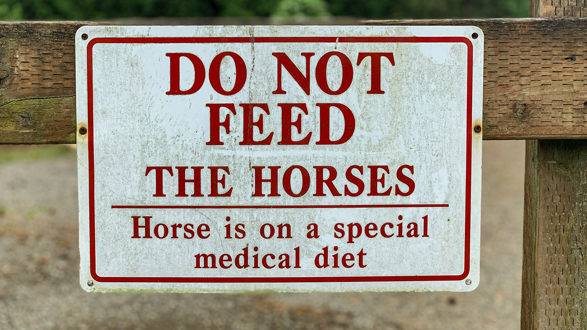 This will stop unwanted treats from strangers