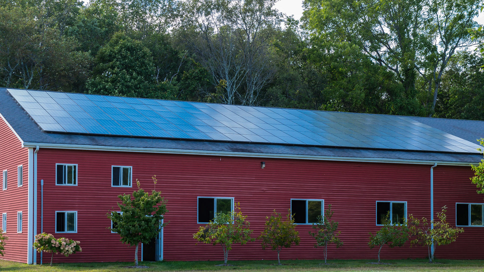 Solar panels are becoming more popular.