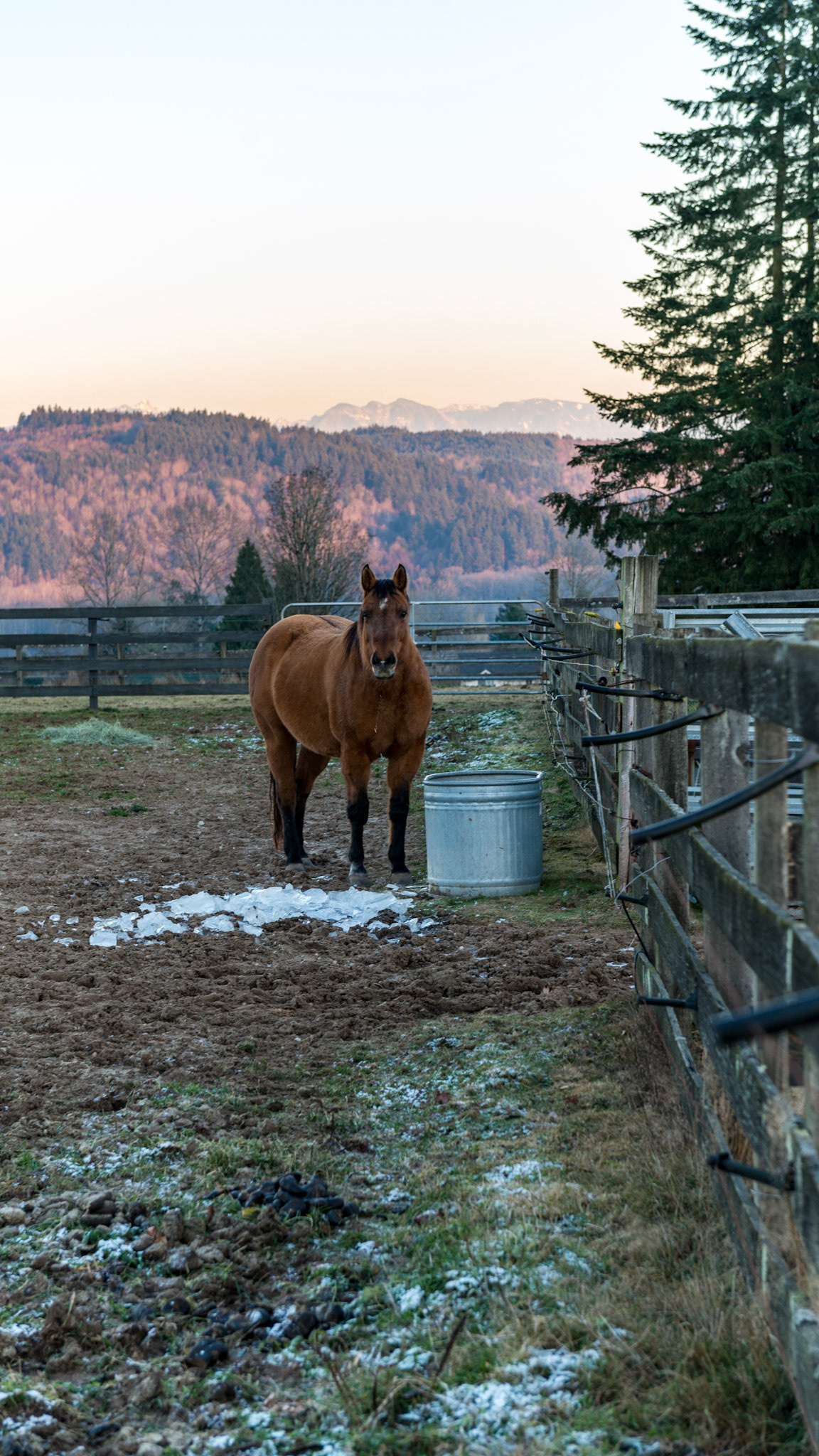 A horse can't drink frozen water. This must be remembered daily. There are devices to keep the water from icing. The best I ever used was a propane fuled stock tank heater. The horses would drink a lot of water if it was kept warm. Maintaining hydration is always good.