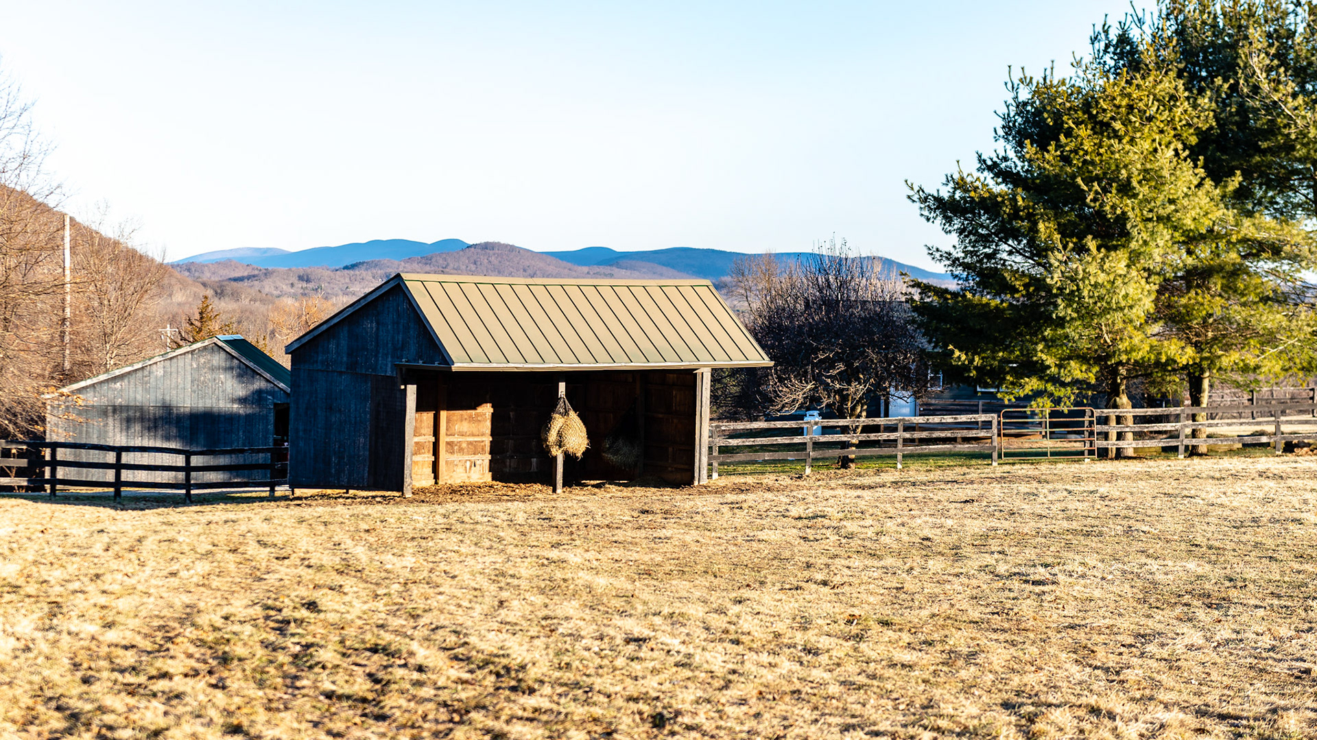 Hay bags are used in this shed to keep it out of the mud.