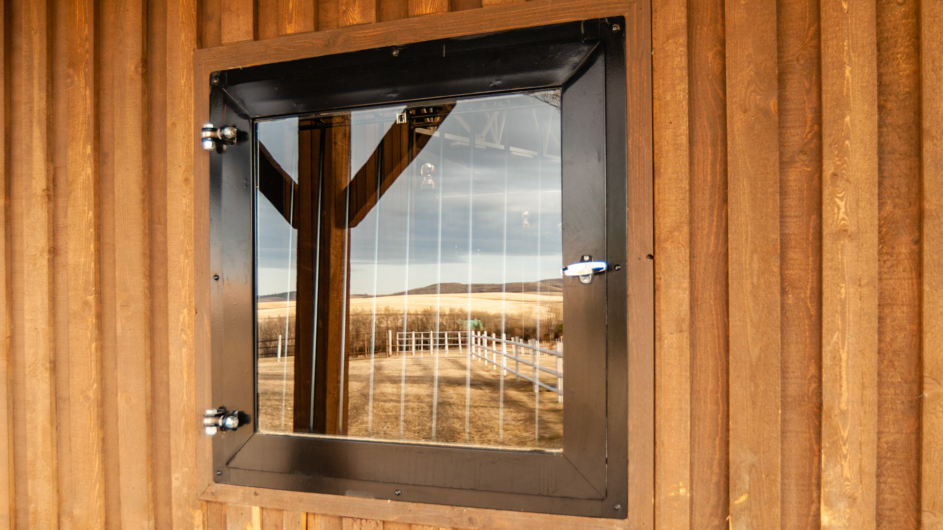 Custom window door with interior metal guard.