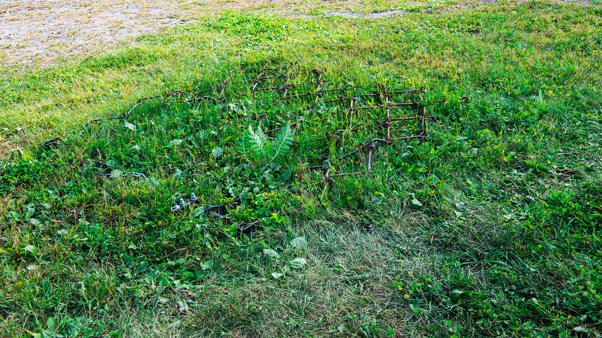 Can you see the hidden danger here?  There is a metal harrow used for smoothing the sand arena hidden in the grass here.  A loose horse may come across this with terrible consequences.