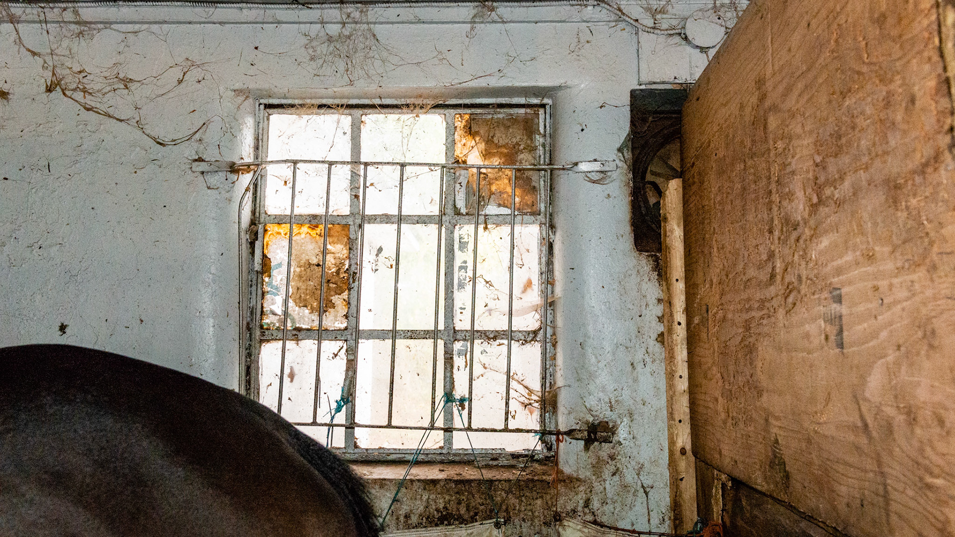 A filthy stall in disrepair.  The metal bars over the glass windows are an after thought and dangerous. The kick mats are hung by string, fithy, and torn. Cobwebs were everywhere. And the stall was too small for this horse.
